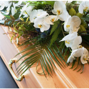 Gallery photo for N J Maggs Funeral Director