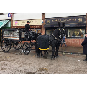 Gallery photo for Farrell-McCartan Funeral Services
