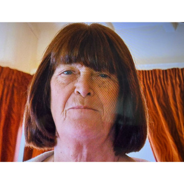 Notice Gallery for STELLA ENGLISH