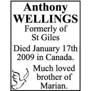 Notice Gallery for Anthony