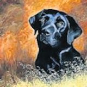 Notice Gallery for BRIAN HINKS