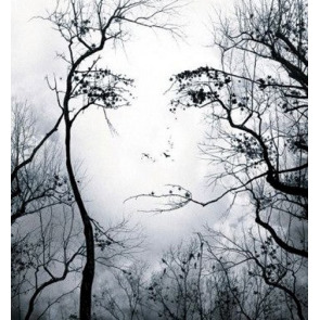 Photo of BRIAN COYLE