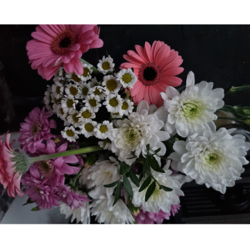 Notice Gallery for AUDREY MCALPINE