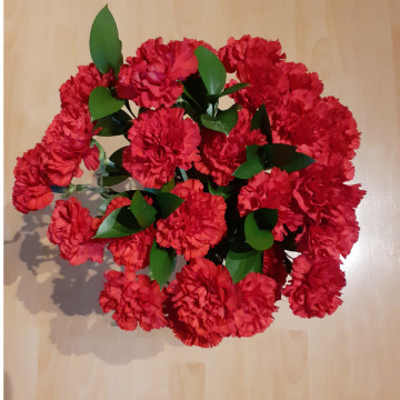 Notice Gallery for DOREEN CUTTS