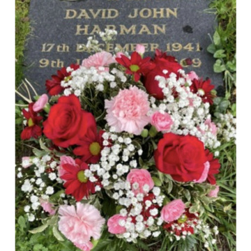 Notice Gallery for Dave DEE