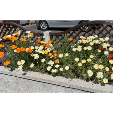 Notice Gallery for Raymond CLAYTON