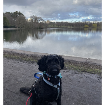 Notice Gallery for Raymond CLAYTON