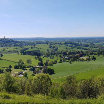 Photo for notice  REYNOLDS DR