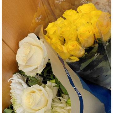 Notice Gallery for Denise Avril SWEET