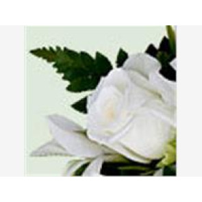 Notice Gallery for Rita Mary nee SZLANDA COWELL