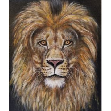 Notice Gallery for Kevan MARSHALL