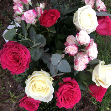 Tribute photo for Norma COLEMAN