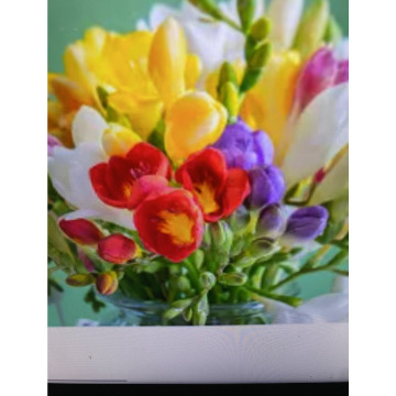 Photo for notice Andy Peter Dec DEXTER