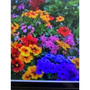 Photo for notice Andy Peter Dec DEXTER