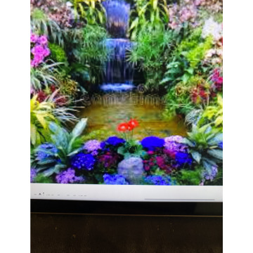 Photo for notice Andy Peter Dec DEXTER