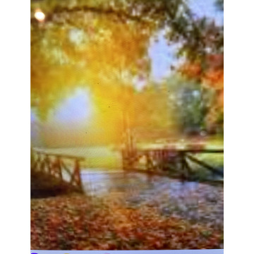 Photo for notice Andy Peter Dec DEXTER