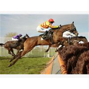 Notice Gallery for Harry HINDLE