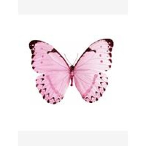 Notice Gallery for WALFORD