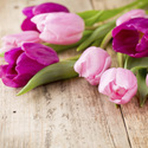 Photo of Ellen Patricia TINGLEY