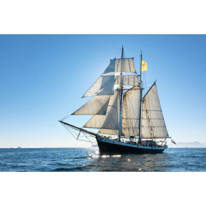 Photo of Brian Leslie HORNSBY