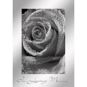 Photo of Francesca RIDEOUT