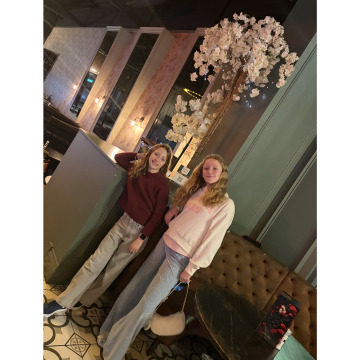 Notice Gallery for William TURNER