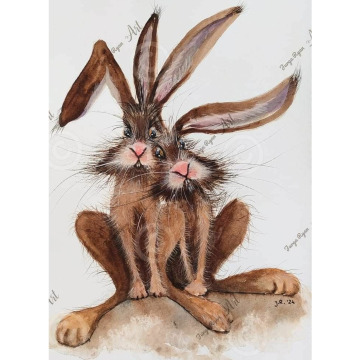 Photo of Sylvia May SIBBICK