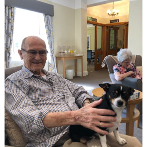 Notice Gallery for Alwyn FOX