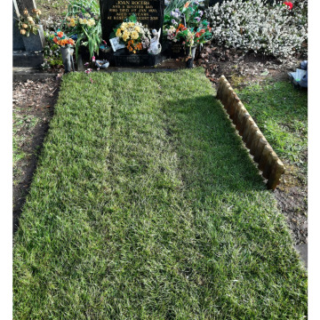 Notice Gallery for Joan (Rogers) GOLDSTRAW