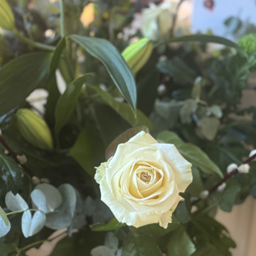 Notice Gallery for David Evan TABOR