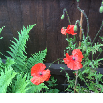 Photo of Michael MEECHAN