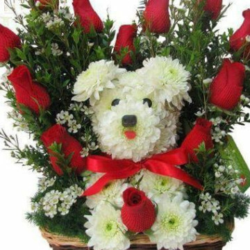 Notice Gallery for Derek HOLDING