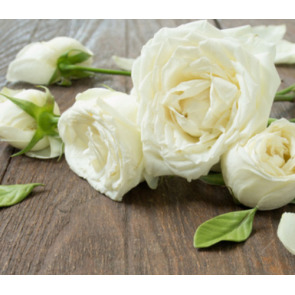 Photo of Anthony Stanley PARTON