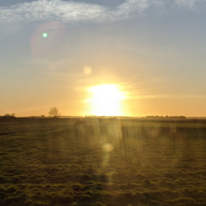 Notice Gallery for Ann BROWN