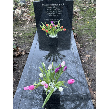 Notice Gallery for Audrey Jean BACK