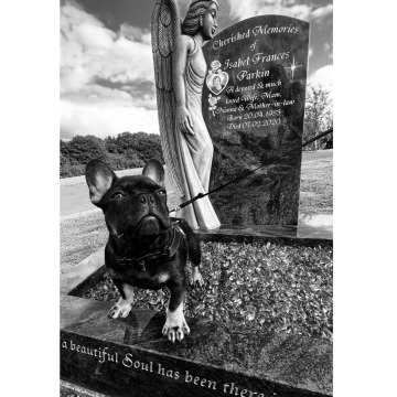 Notice Gallery for Isabel Frances PARKIN