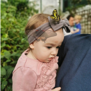 Notice Gallery for James William JOHNSON