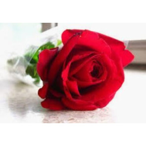 Photo of JOSEPH HESKETH