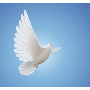 Notice Gallery for Doreen Ann PARKER