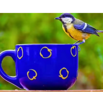 Tribute photo for MALCOLM ROWLANDS -