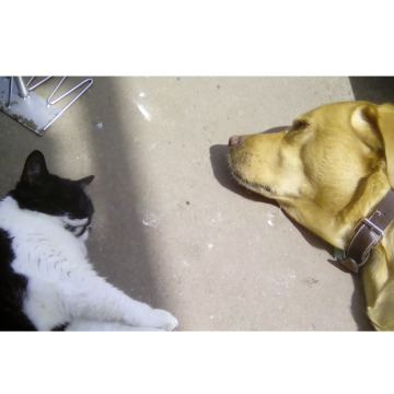 Notice Gallery for Thomas Kenneth ROURKE