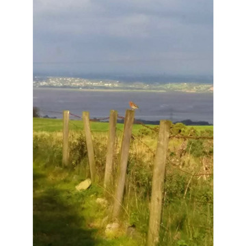 Notice Gallery for NORMAN COLEGATE