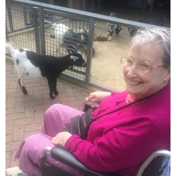 Notice Gallery for Penny PRIDE