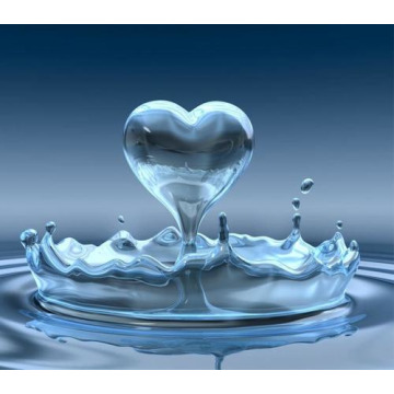 Notice Gallery for James (Jimmy) ROGERS