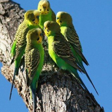 Notice Gallery for Sylvia WALKER