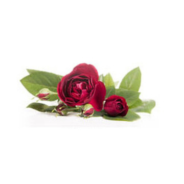 Notice Gallery for LOWNDES PETE