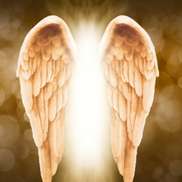 Notice Gallery for Robert MULLEN