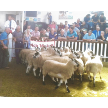 Notice Gallery for James (Jim) JOHNSTON