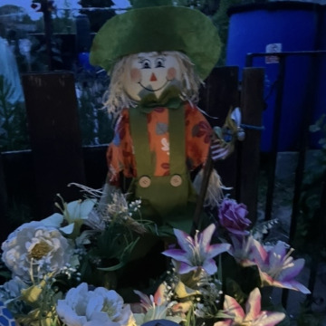 Tribute photo for Alice Mary MANNERS