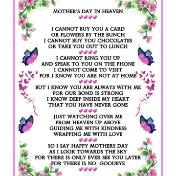 Photo for notice Larian SANT